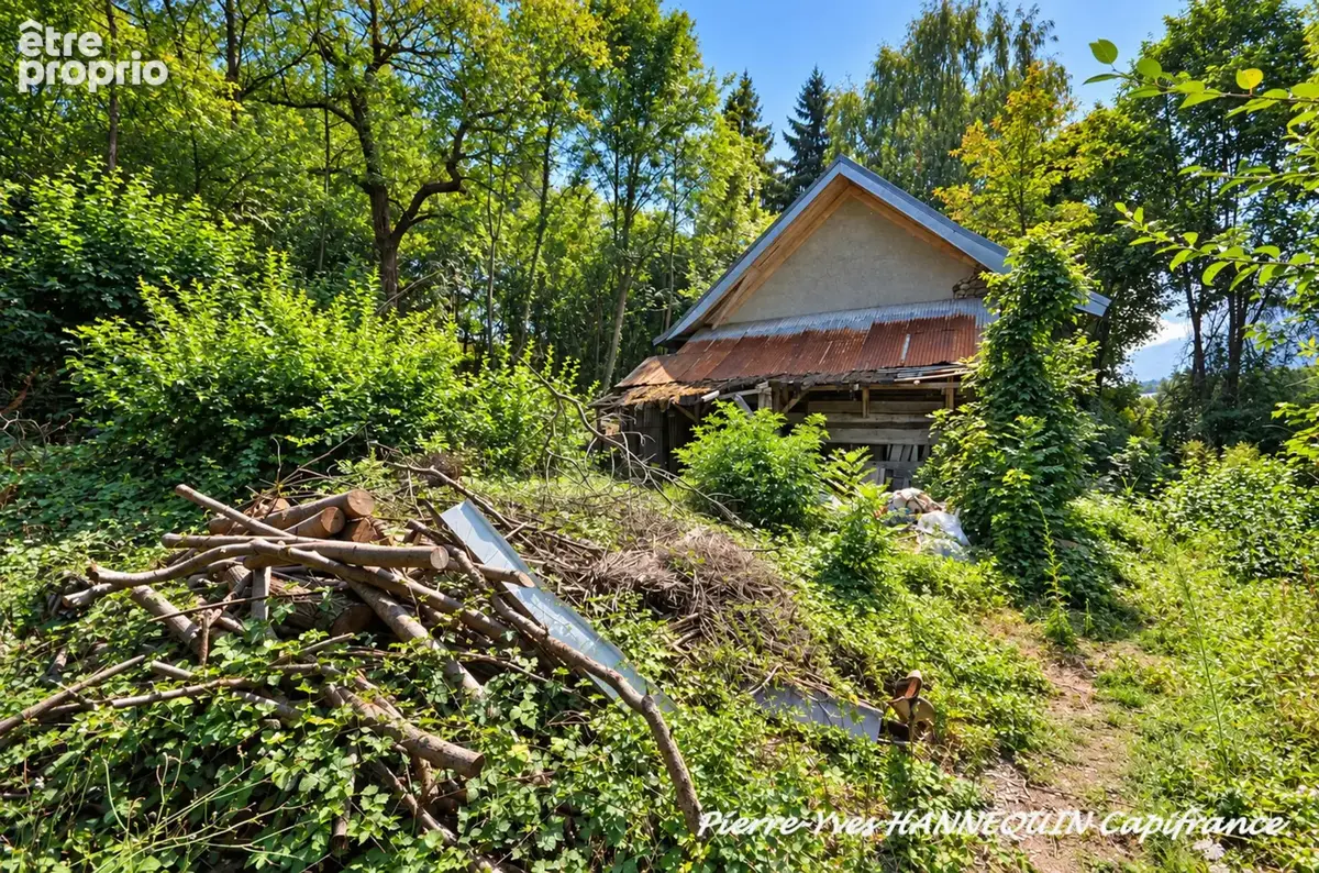 Ensemble de terrains 3392 m2 avec ruine cadastrée Notre Dame des Millières (73) - photo 6