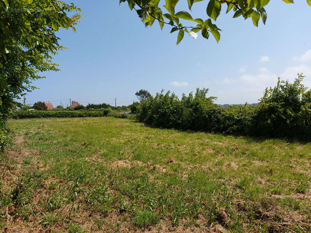 Terrain à COSQUEVILLE