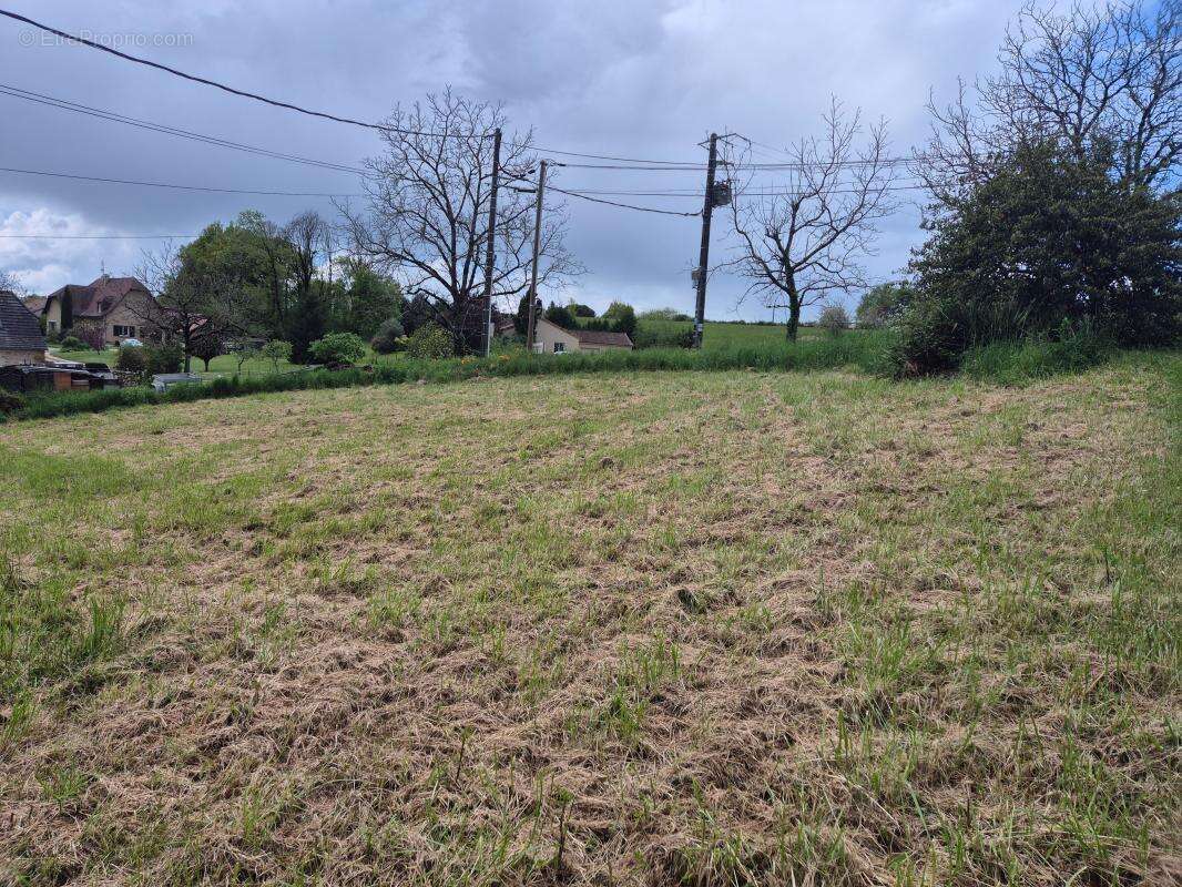 Terrain à TERRASSON-LAVILLEDIEU