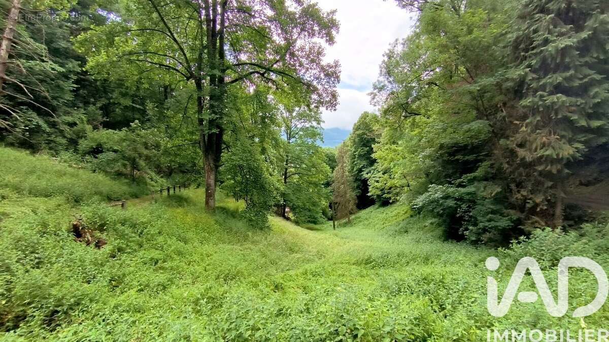Photo 5 - Maison à BAGNERES-DE-BIGORRE