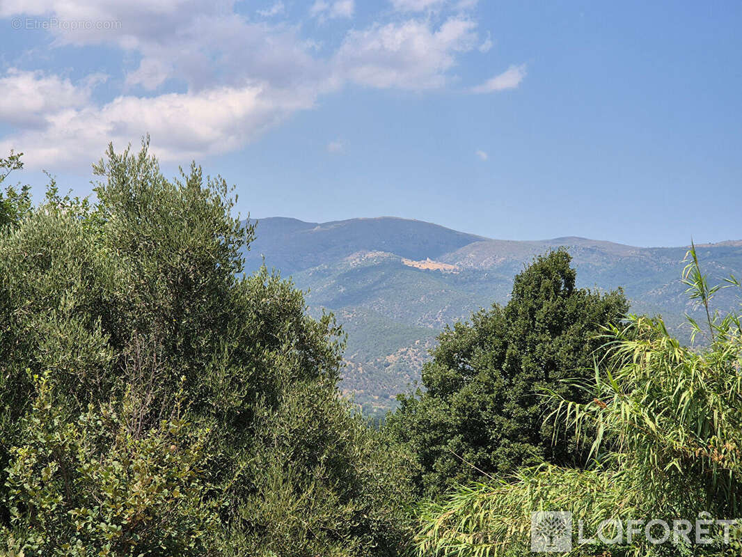 Maison Los Masos sur terrain de 4300m2 - photo 18
