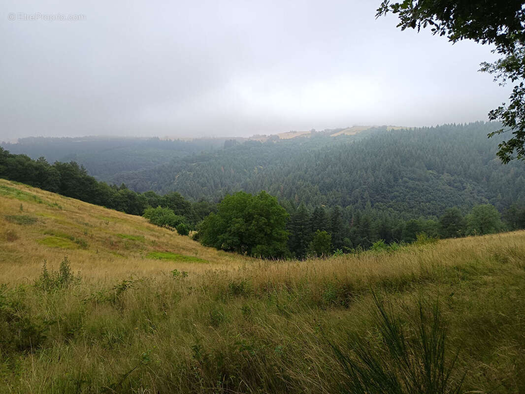 Corps de ferme - photo 17