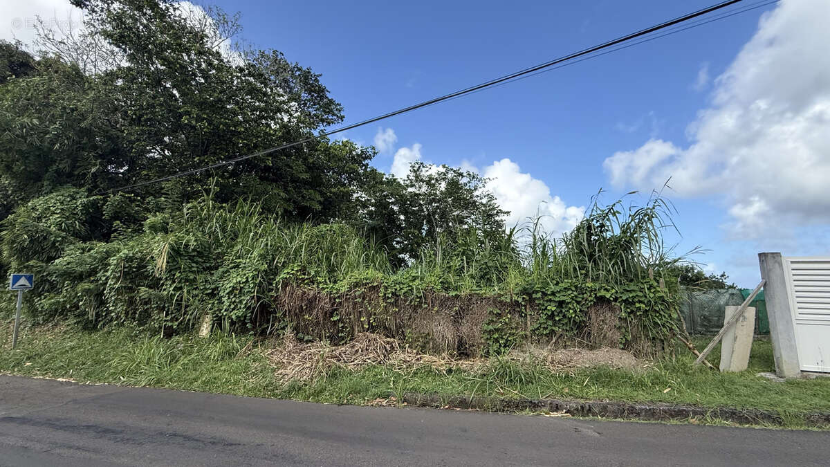 Terrain à SAINT-JOSEPH