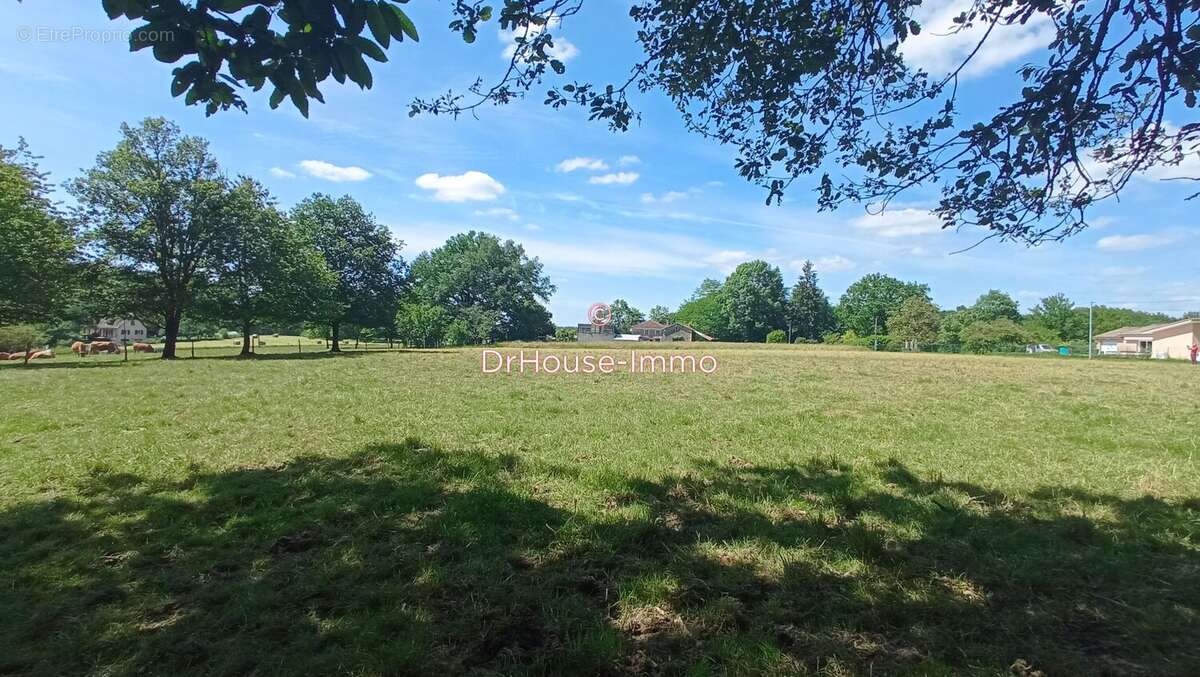 Terrain à SAINT-FRONT-D'ALEMPS