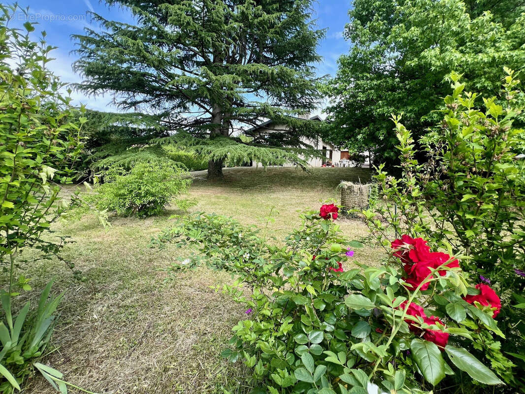 Maison à ANNECY-LE-VIEUX