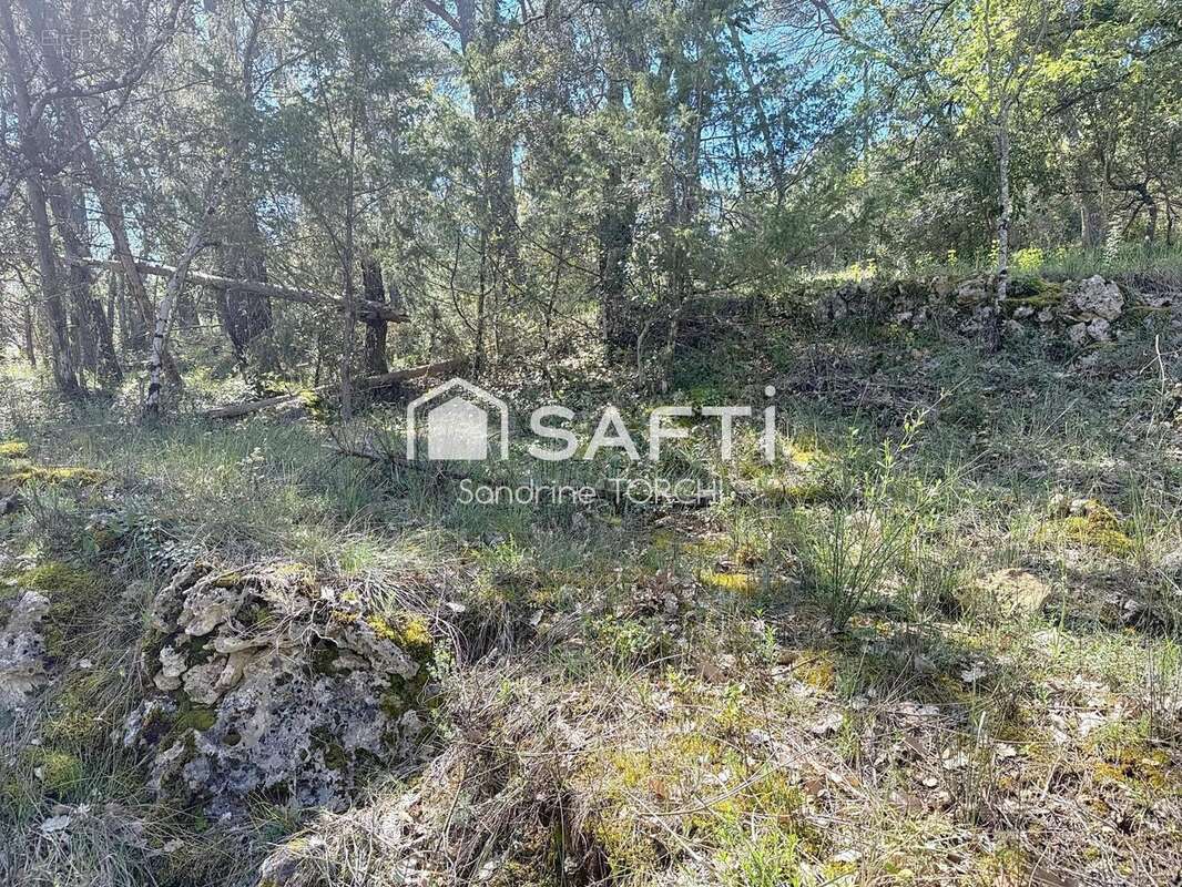 Photo 5 - Terrain à LORGUES