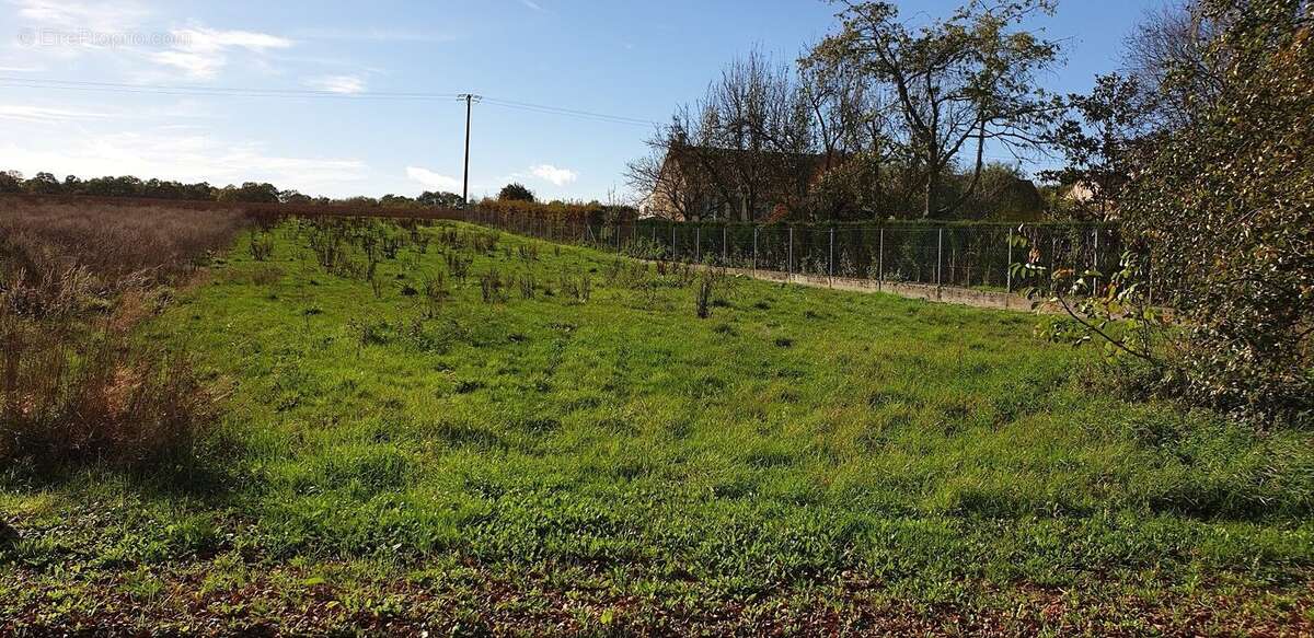 Terrain à SOIZY-AUX-BOIS