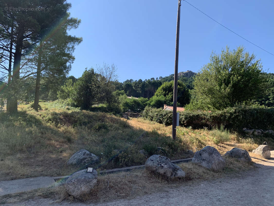 Terrain à bâtir à Cartalavone, commune de Porto-Vecchio - photo 8