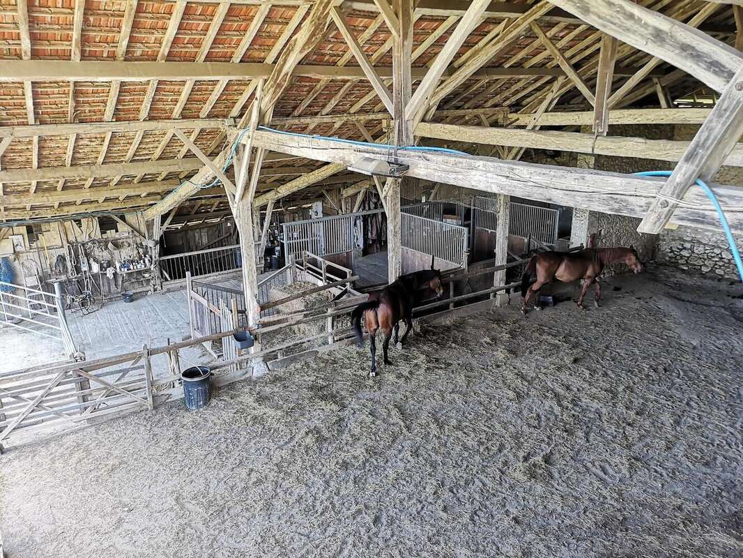 IMG20250516151145 - Maison à MONTESQUIOU