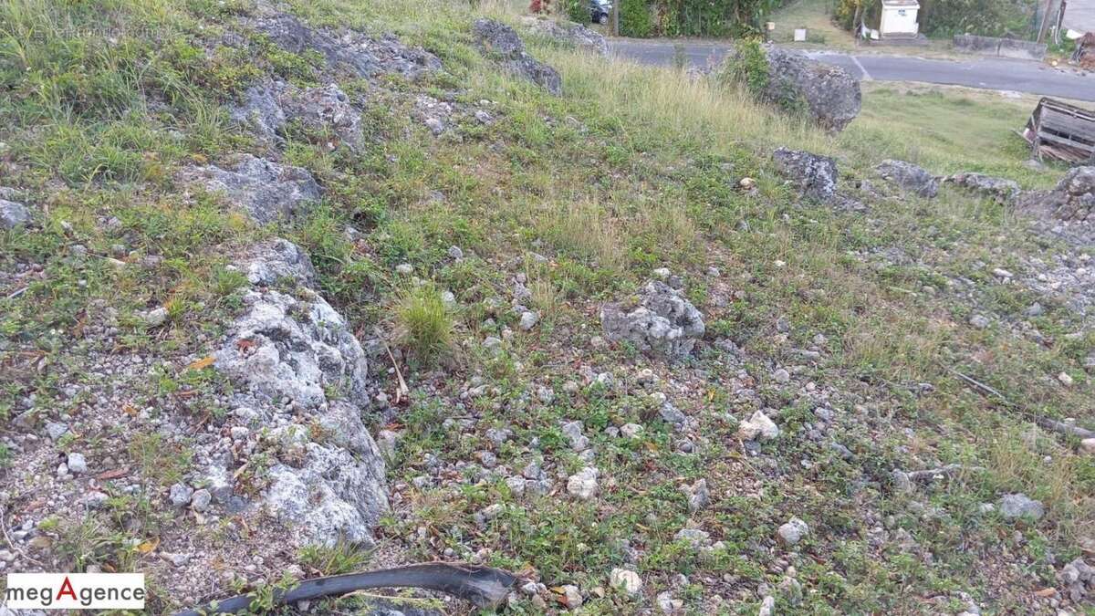 Terrain à LE GOSIER