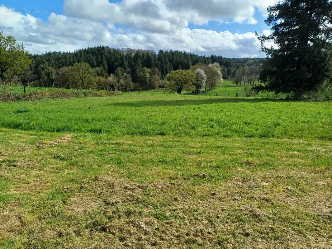Terrain à MERCOEUR