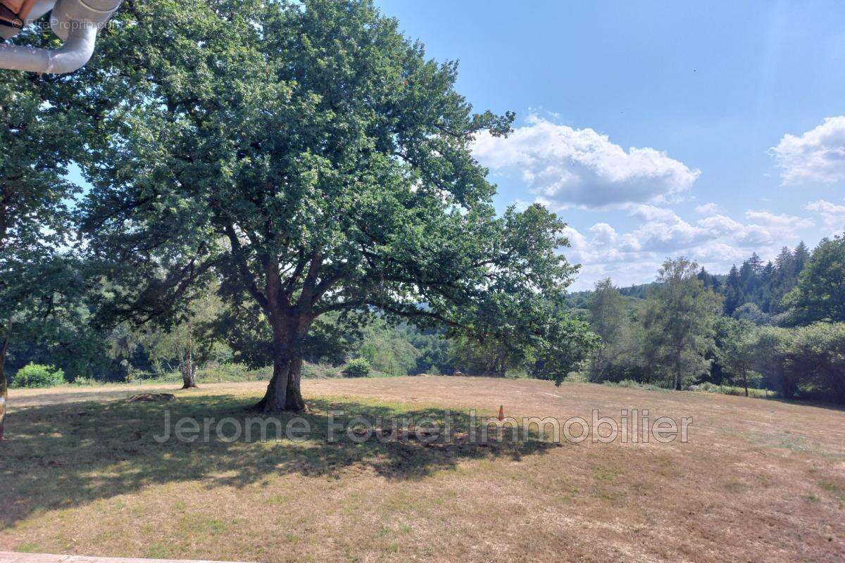 vente maison 6 Pièce(s) - photo 19
