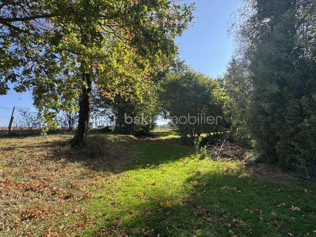 Terrain à SAINT-PIERRE-LA-COUR