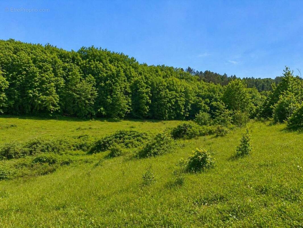 Terrain à TRELISSAC