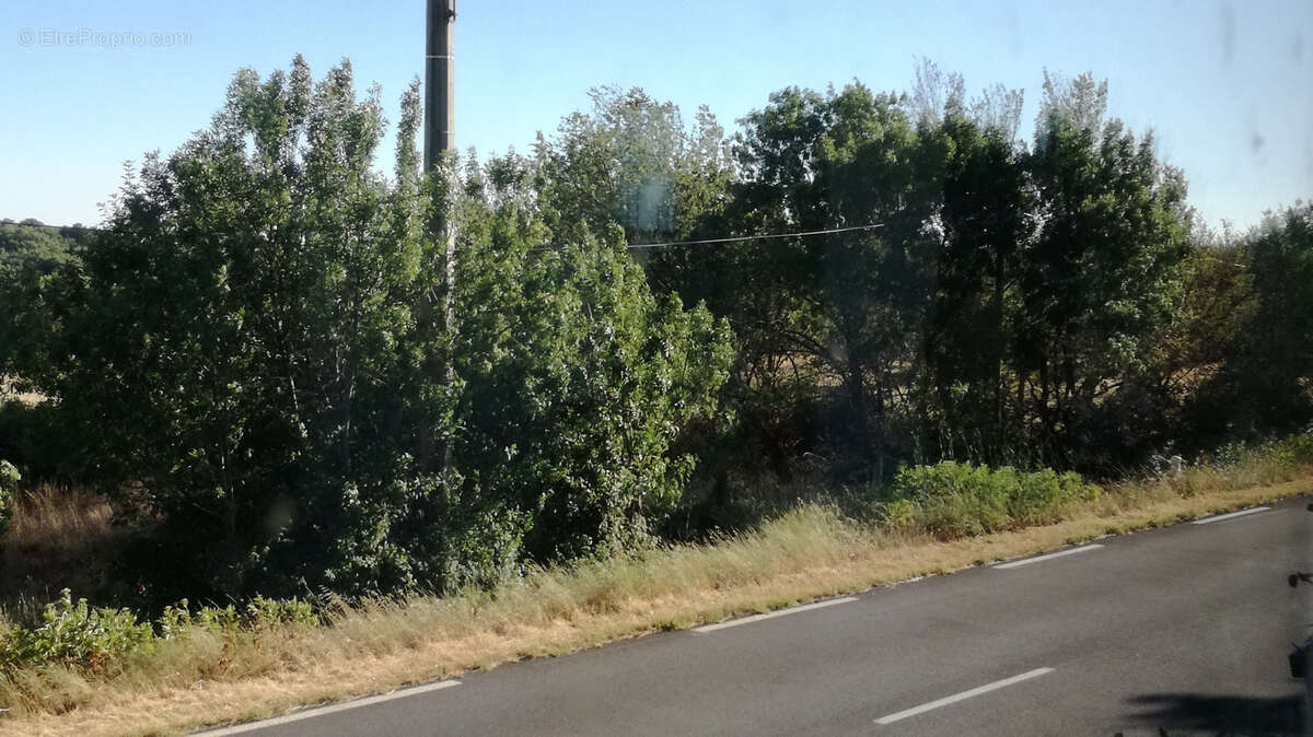 Terrain à VALMASCLE