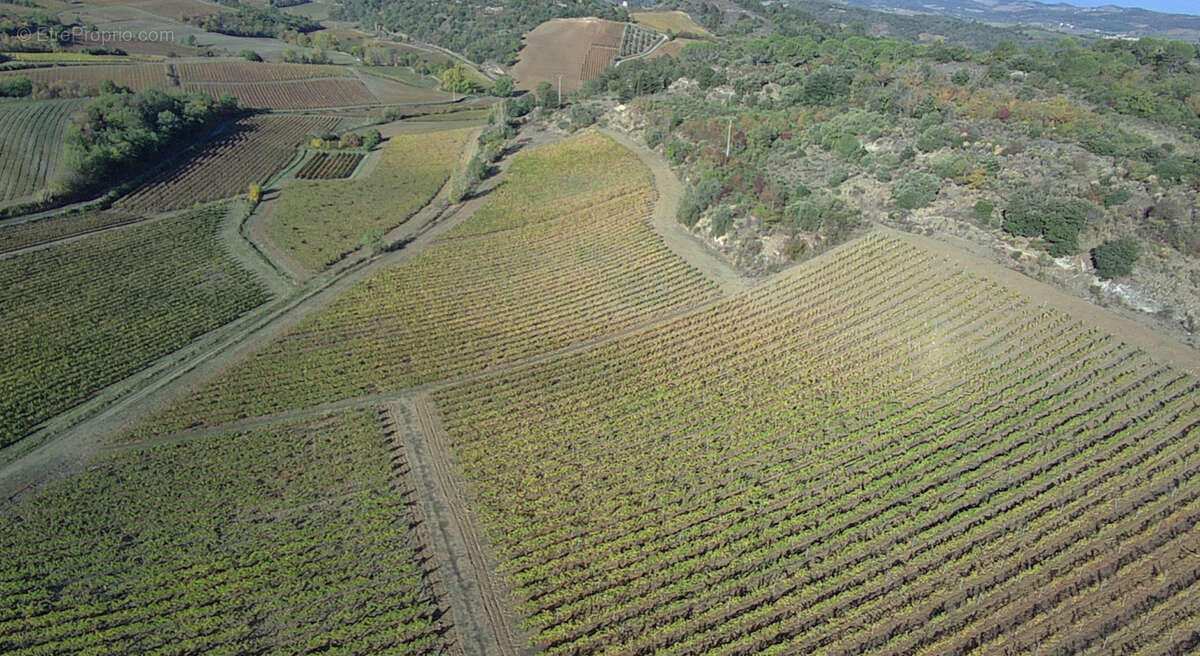 Maison à TOURREILLES