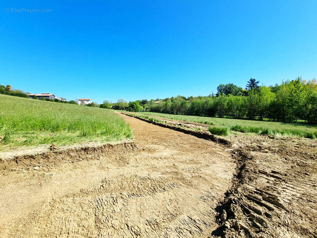 Terrain à CASTANET-TOLOSAN