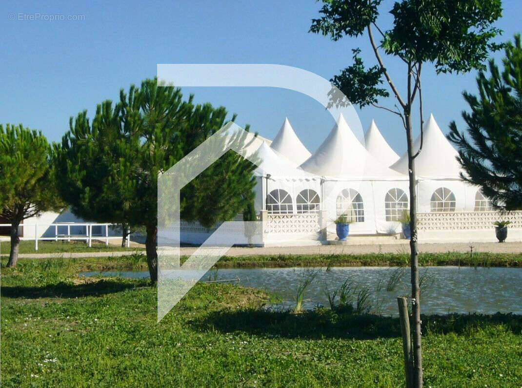 Commerce à SAINT-LAURENT-D&#039;AIGOUZE