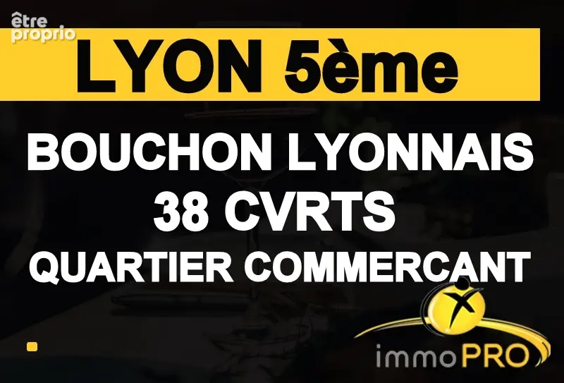 Commerce à LYON-5E