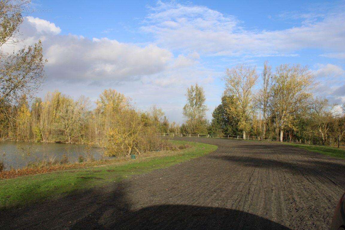 Maison à BEAUMONT-DE-LOMAGNE