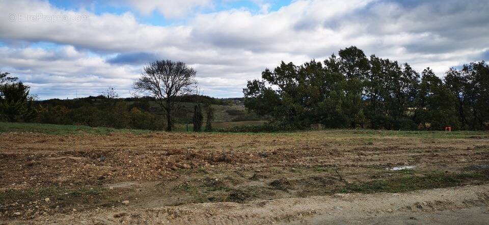 Terrain à CASTELNAU-DE-MONTMIRAL
