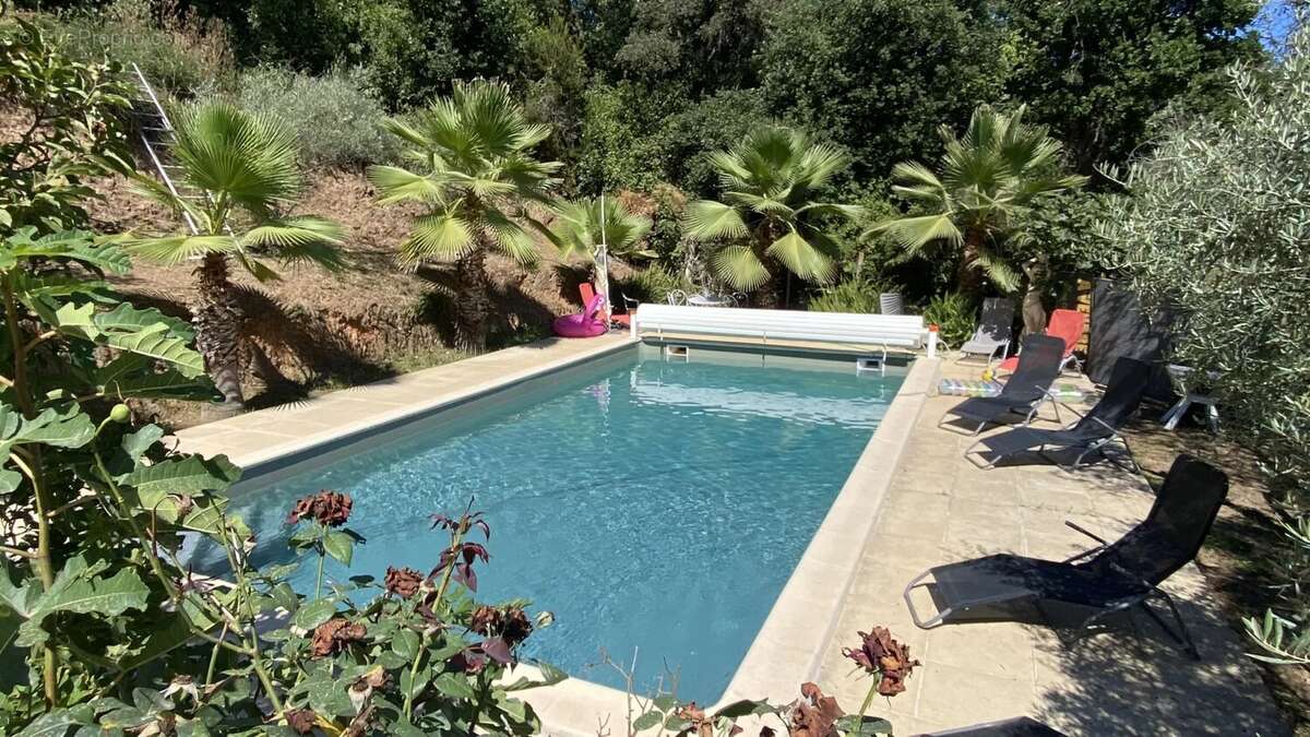 Appartement à SAN-NICOLAO