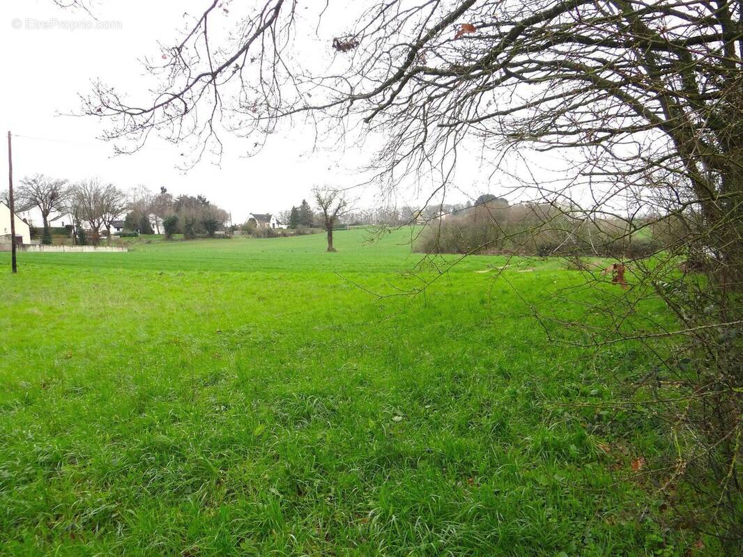 Terrain à MARTIGNE-FERCHAUD