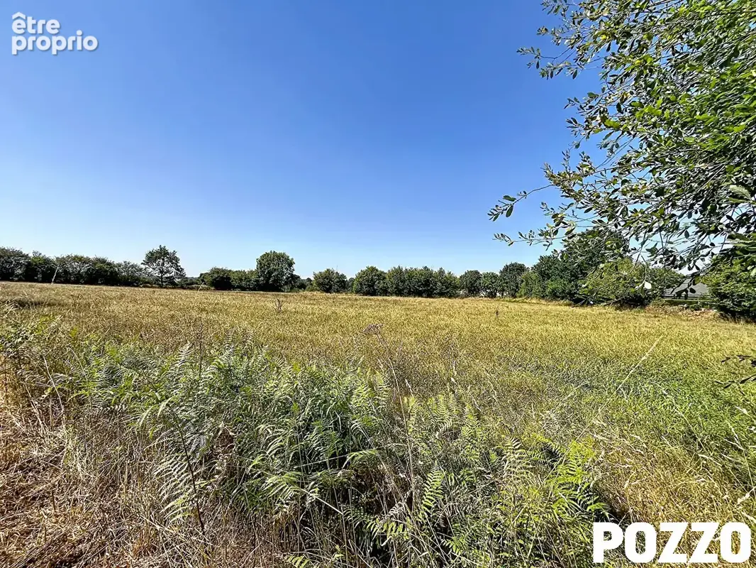 A vendre.  domjean. terrain pour lotissement  de 8 a 10 parcelles. - photo 8