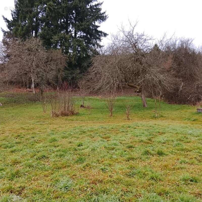 Photo 8 - Maison à ROUGEMONT-LE-CHATEAU