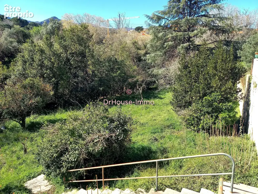 Terrain 1 555 m² à vendre à Collioure (66190) - photo 21