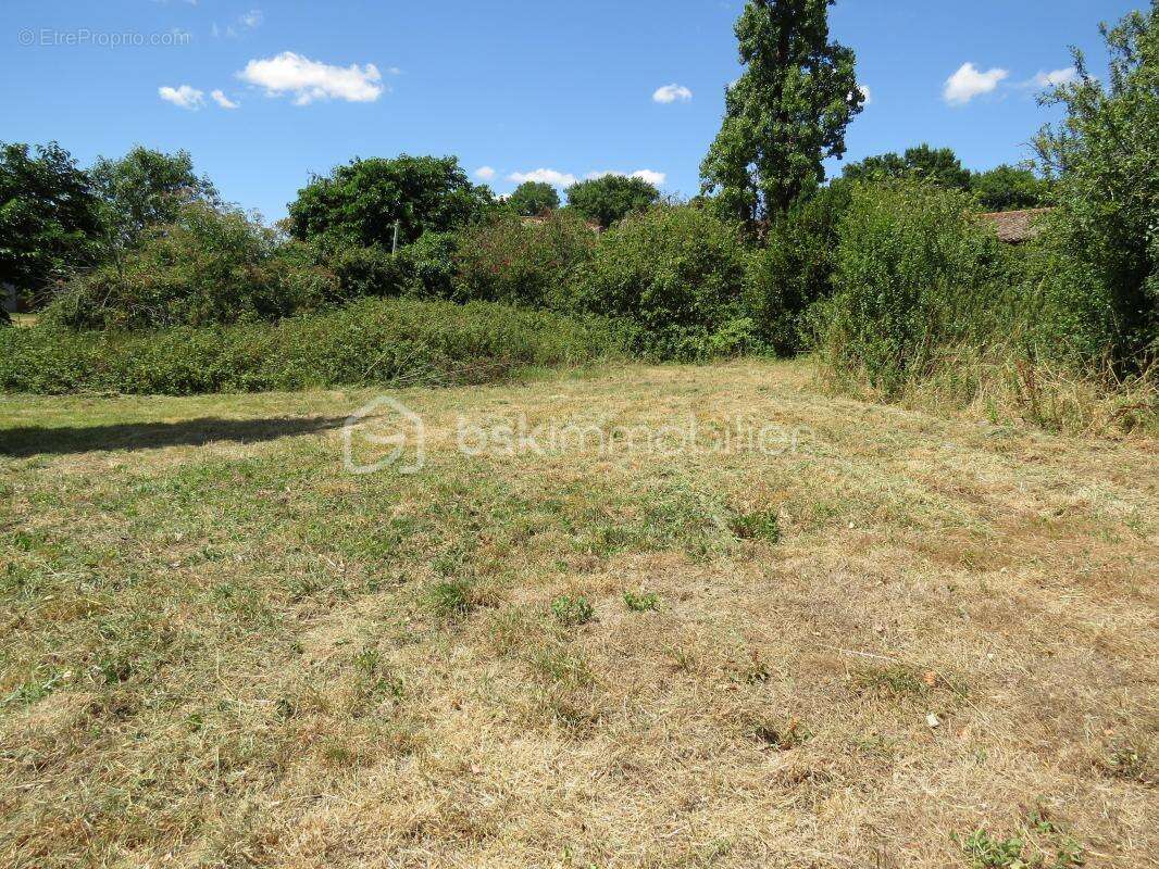 Maison de campagne - photo 5