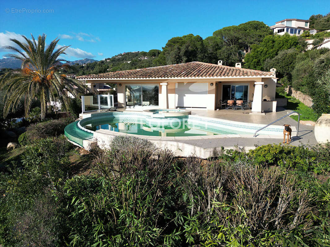 Maison à PORTO-VECCHIO