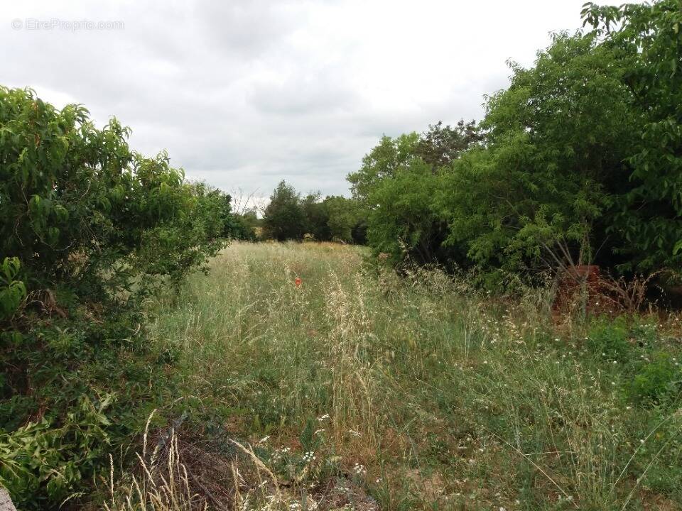 Terrain à BRAGAYRAC