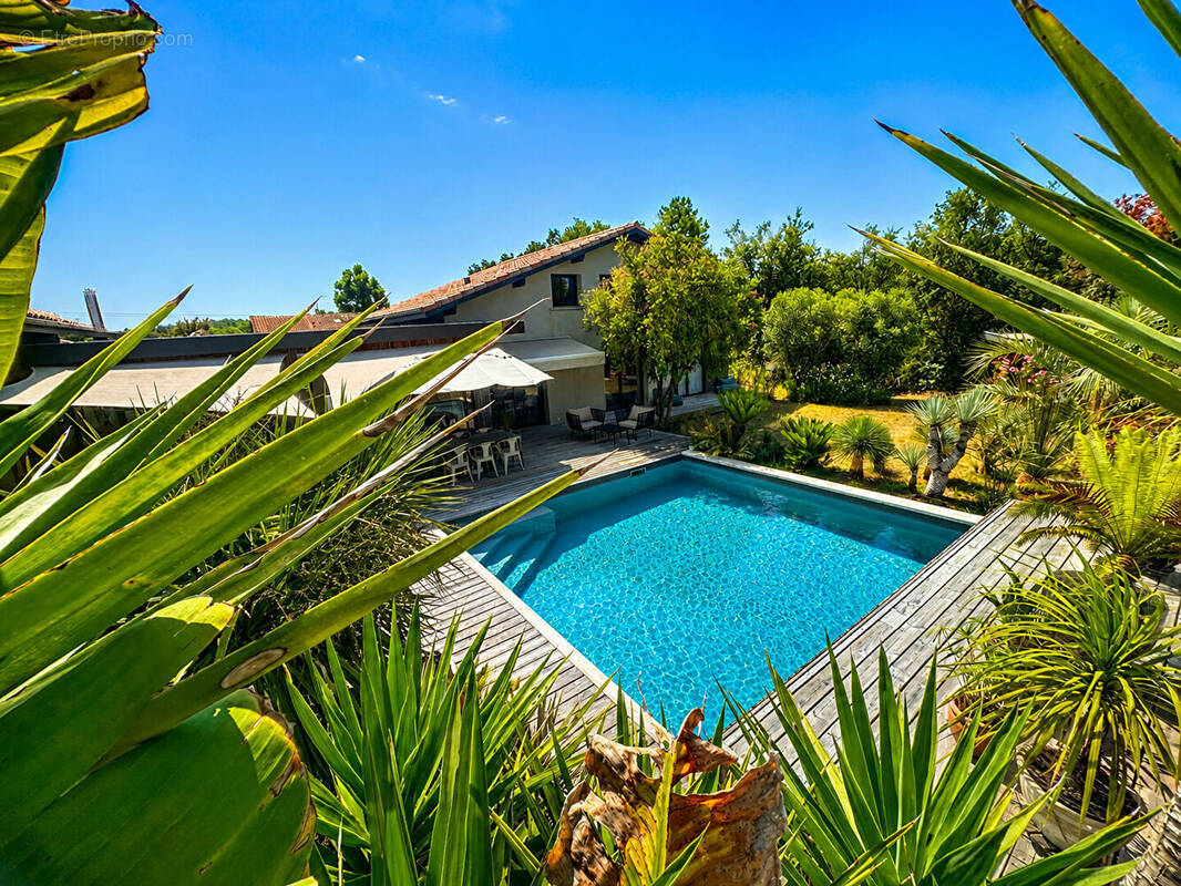 Maison à TOSSE