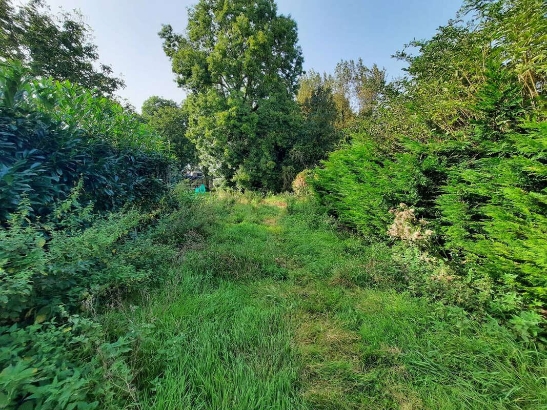 Maison à CAYEUX-SUR-MER