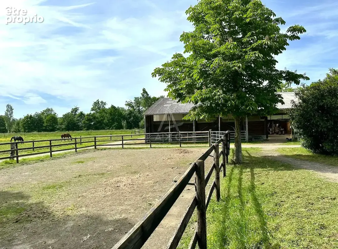 Haras d'Entraînement de Courses sur 28 Hectares   Cadre Exceptionnel - photo 8