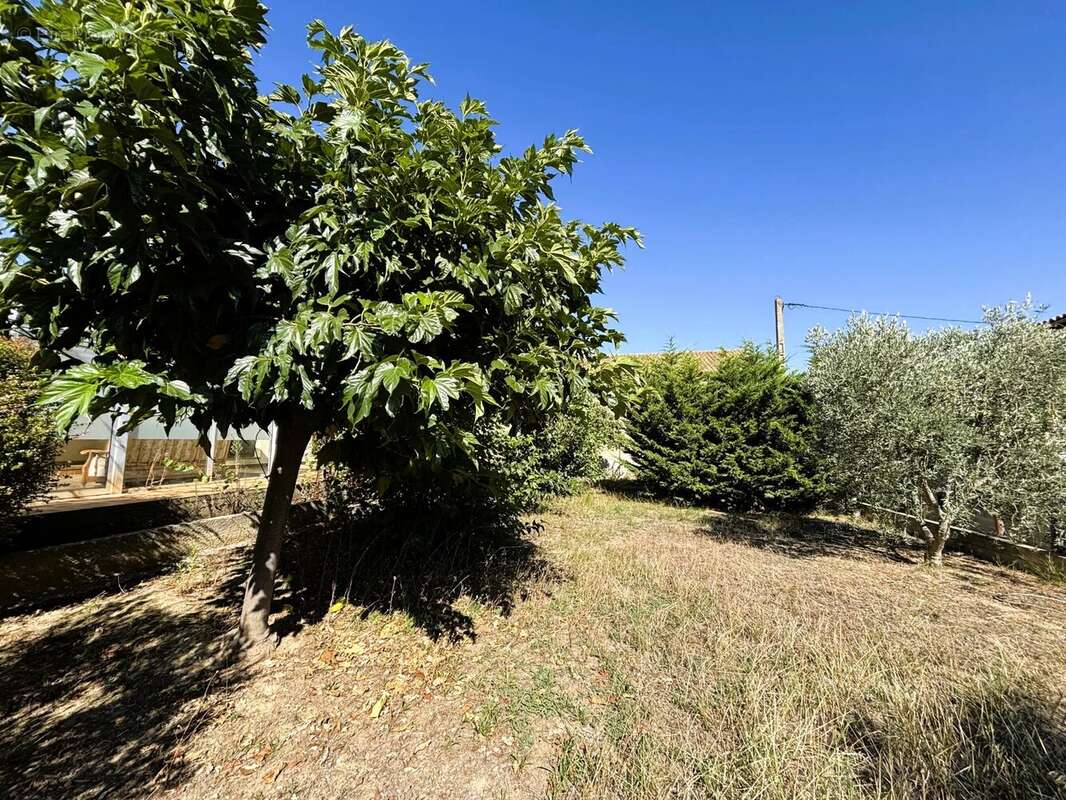Maison à LAURE-MINERVOIS