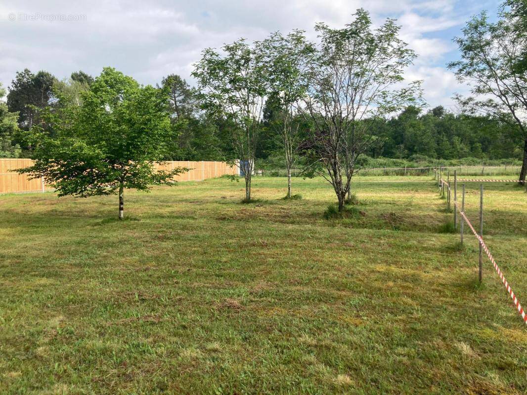 Terrain à SAINT-SAUVEUR