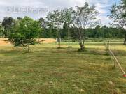 Terrain à SAINT-SAUVEUR