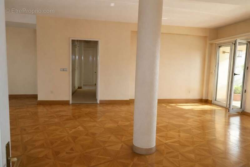 Coeur historique de Dijon- Grangier-Darcy  -Râre-Appartement grands volumes - libre - photo 8