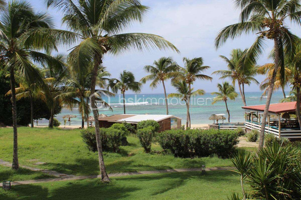 Grand studio 34 m2 Anse des Rochers plage piscine et citerne - photo 18