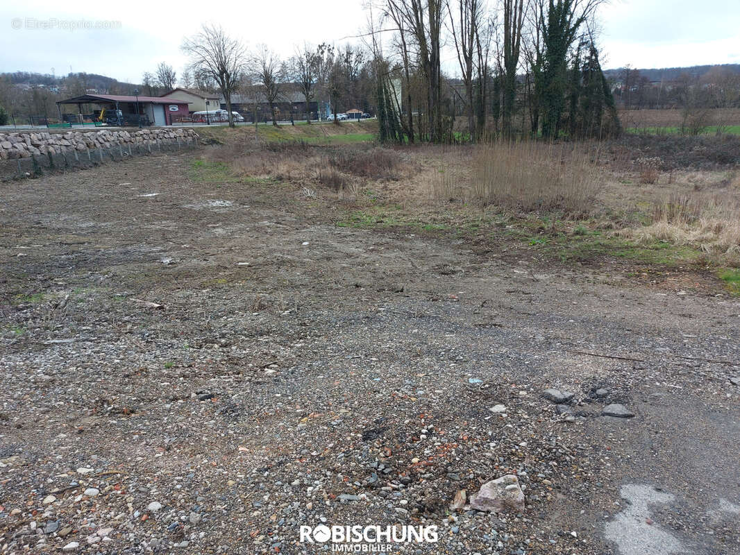 TERRAIN : Hirtzbach terrain de 35.07 ares - photo 3