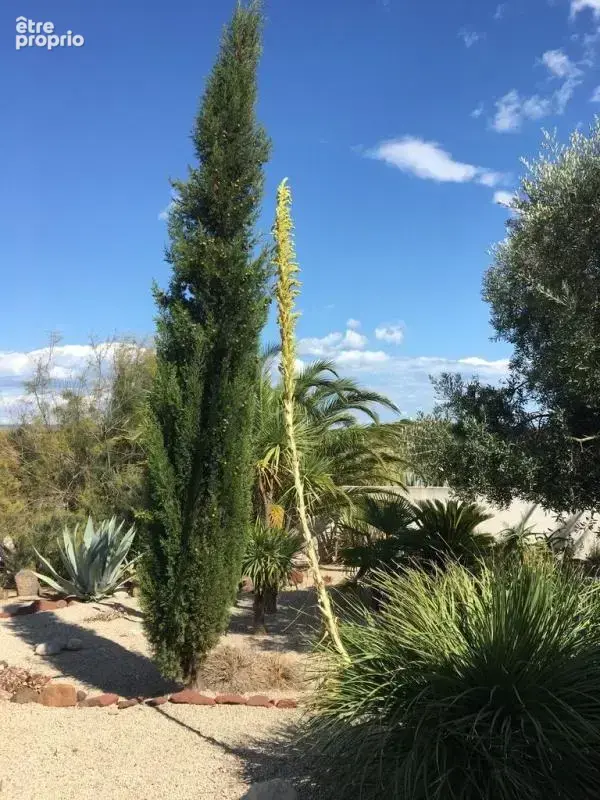 Villa standing à Mèze de 200 m² avec piscine sur terrain de 2000 m² - photo 8