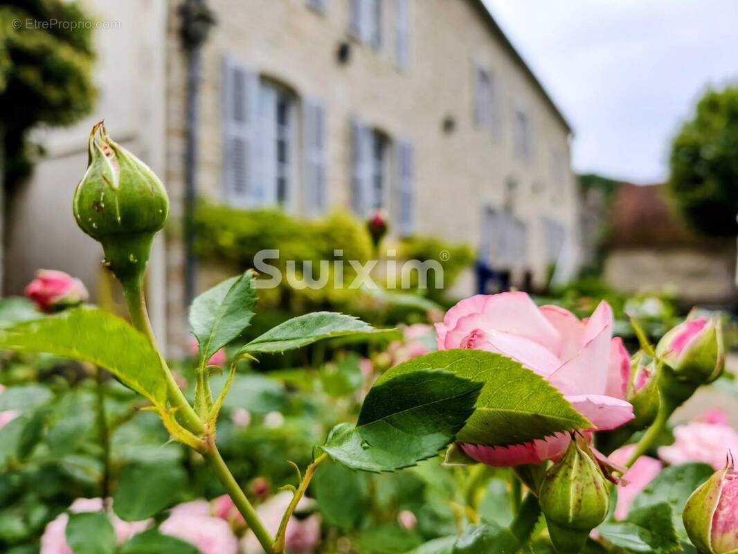 Maison à BEAUNE