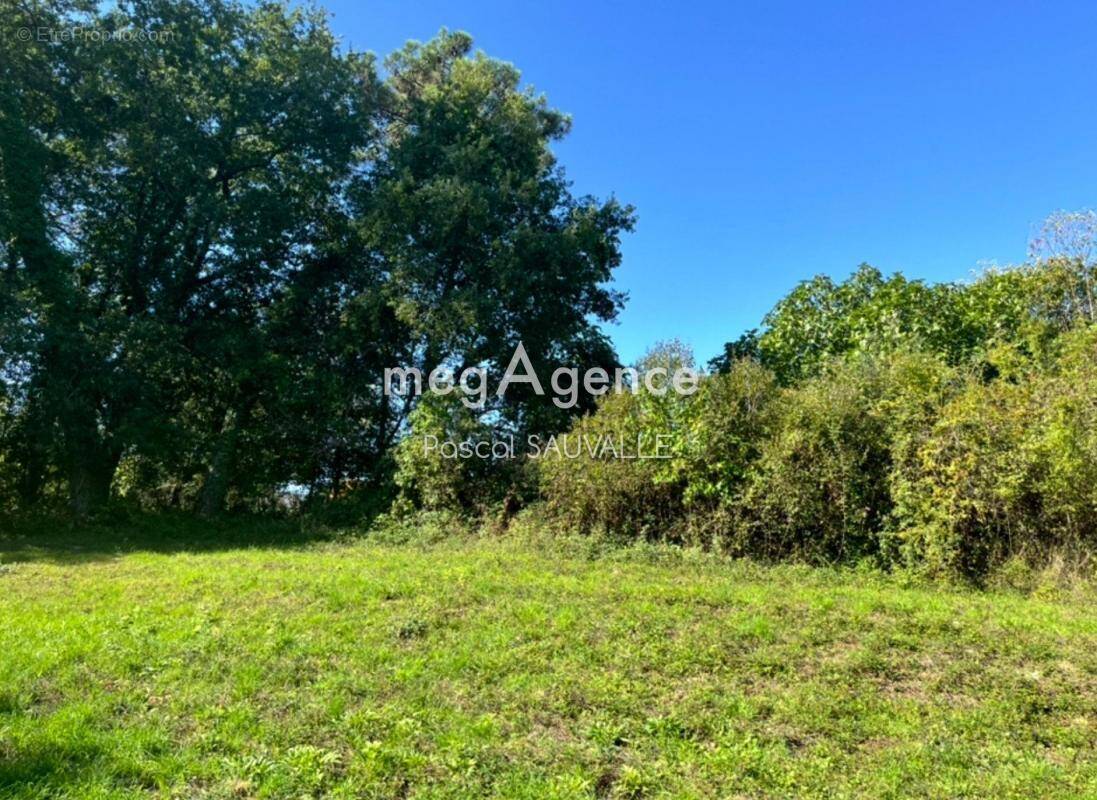 Terrain à SAINT-ASTIER