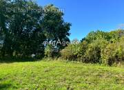 Terrain à SAINT-ASTIER