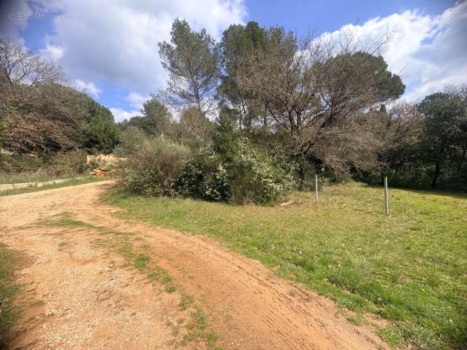 Terrain 3100 m² à Saint-Maximin-La-Sainte-Baume  - photo 2