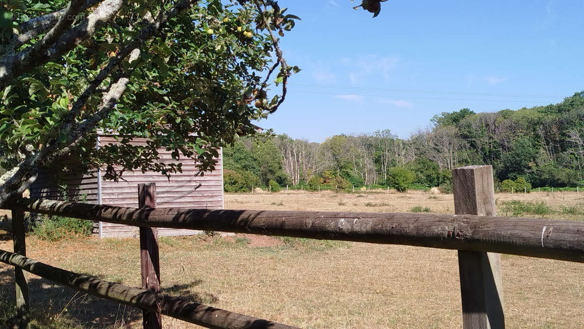 Propriété de caractère avec boxes à chevaux et dépendances - photo 23
