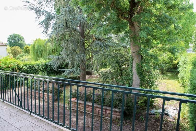 Maison d'architecte 5 pièces et magnifique jardin arboré DOULCON 55 - photo 7