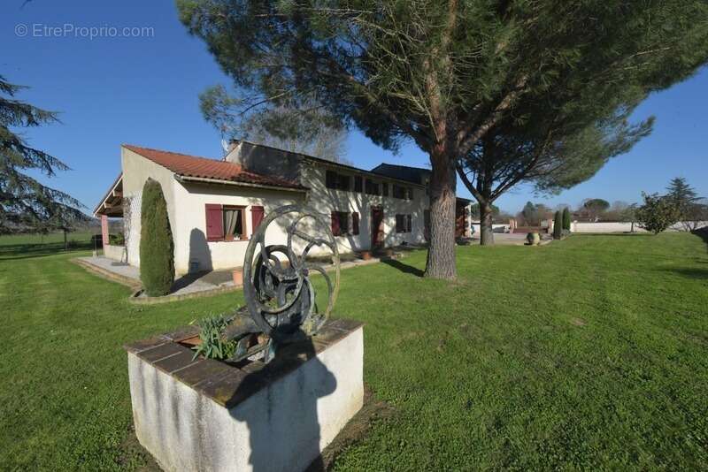 Maison à LAVAUR